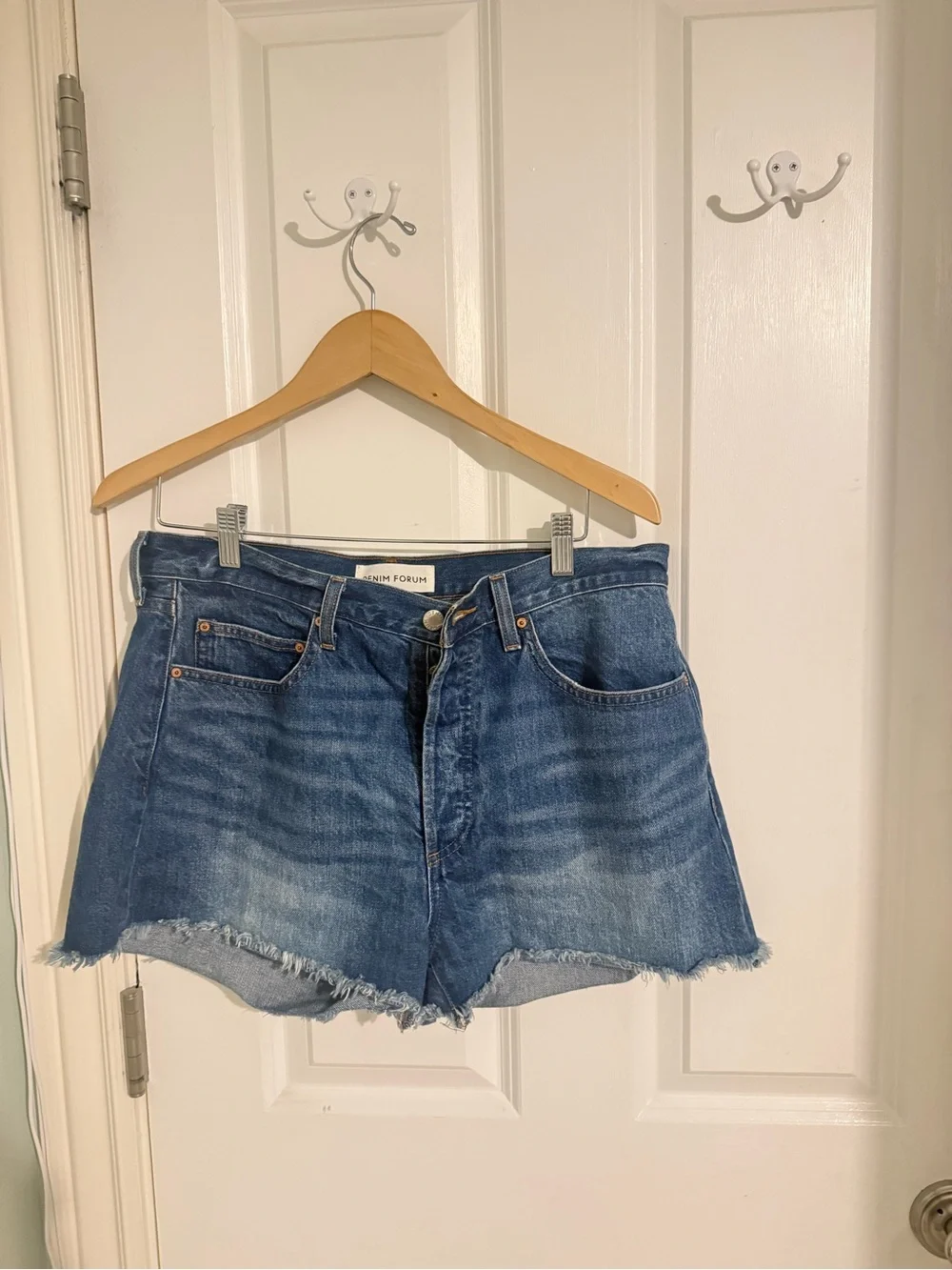 Aritzia Denim Forum Jean Shorts